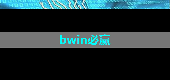 bwin必赢国际官方网站，双芯片的零跑C10技术储备可支持L2级